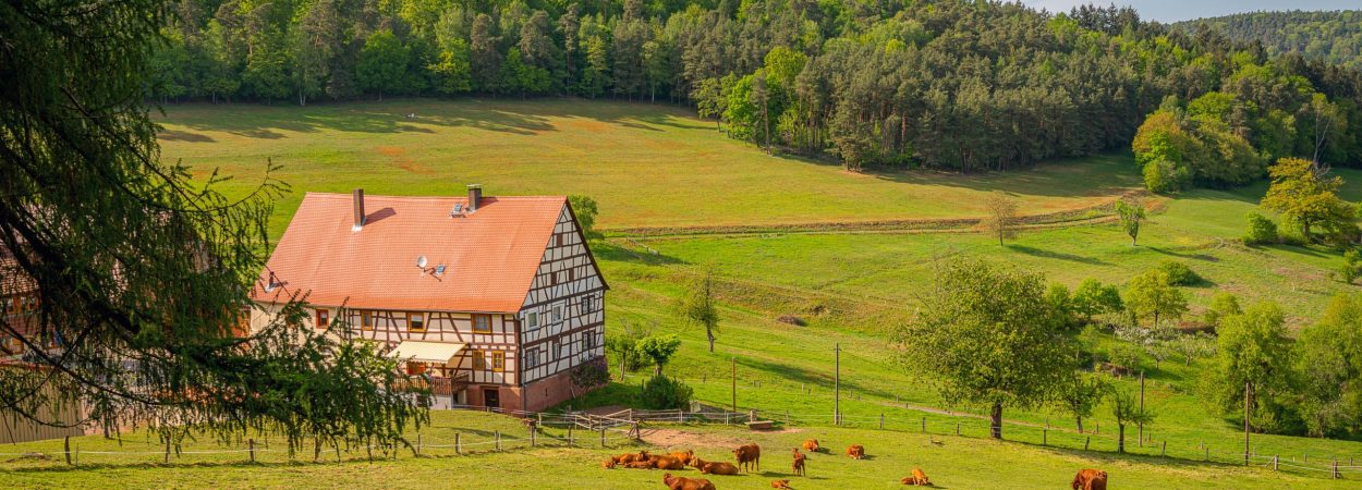 Half-timbered house, cows, paddocks and forests are the main parts of the Odenwald